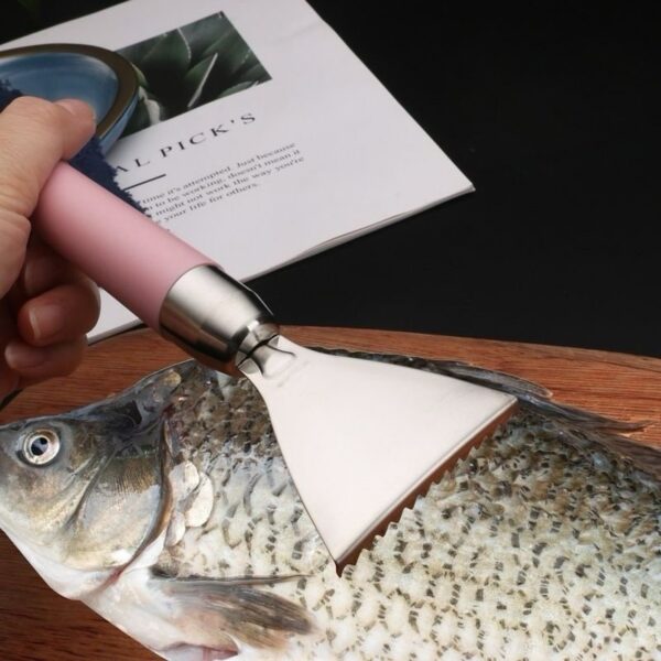 Écailleur à poisson en acier inoxydable – Manche ergonomique antidérapant